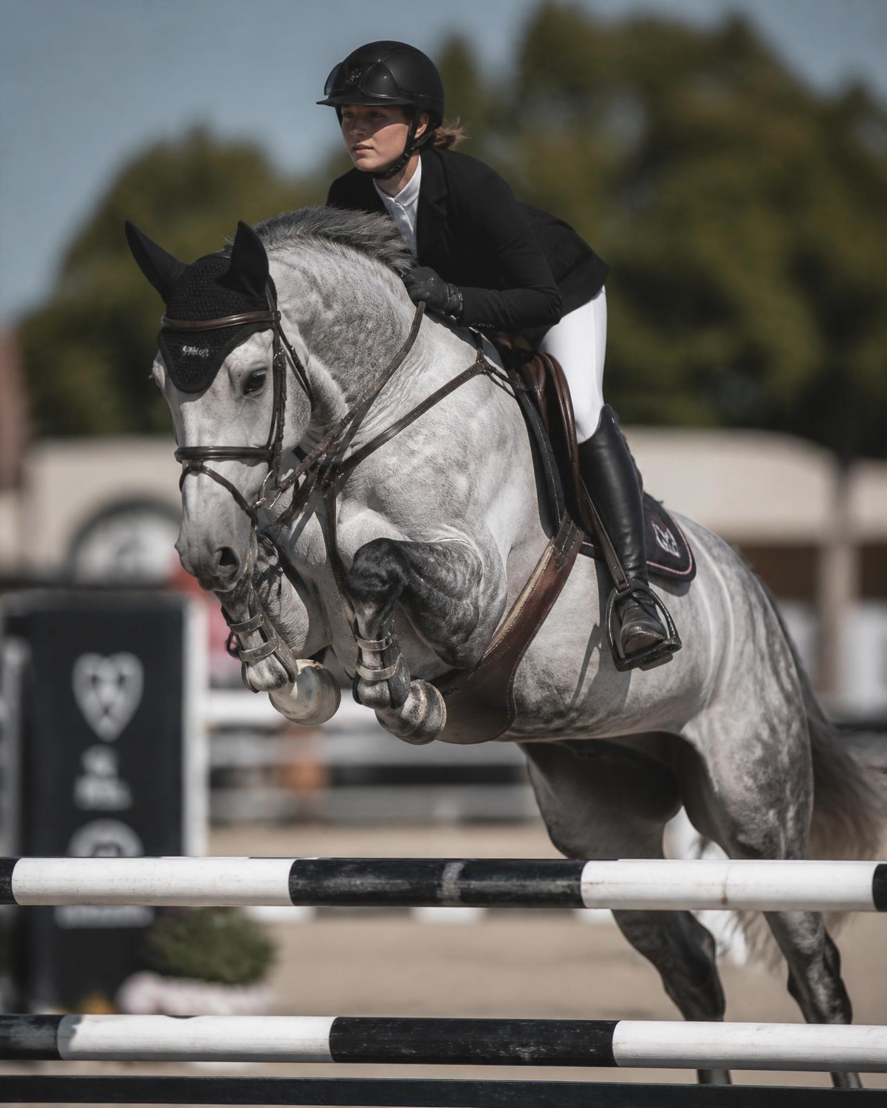 Elite show jumping horse and rider